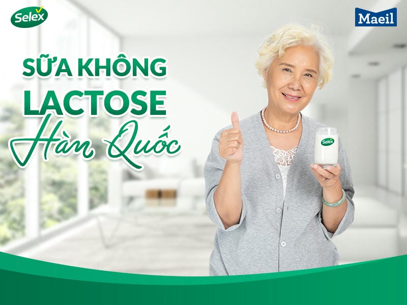 Sữa không lactose