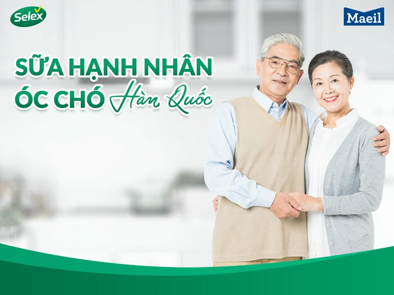 Sữa hạnh nhân óc chó Hàn Quốc