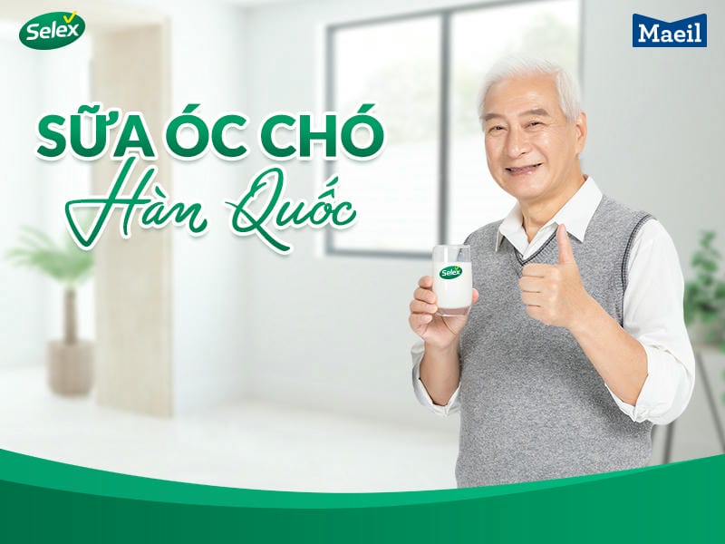 sữa óc chó Hàn Quốc