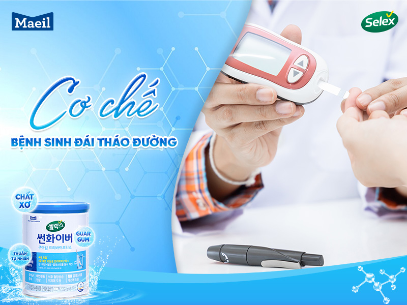 Cơ chế bệnh sinh đái tháo đường