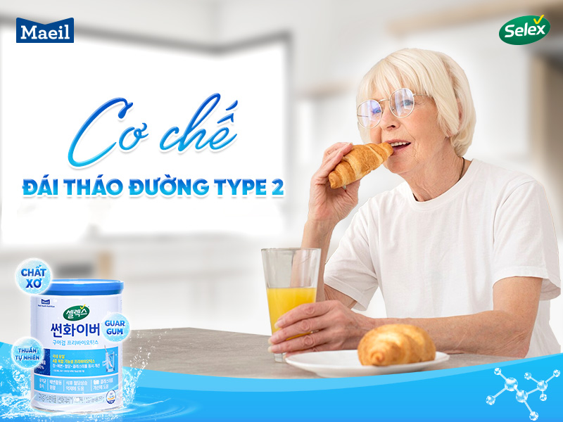 Cơ chế đái tháo đường type 2