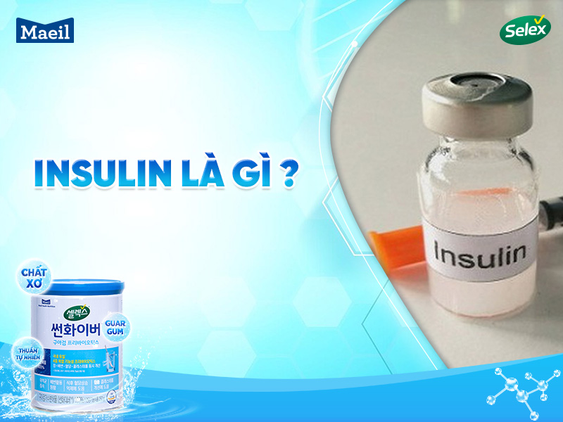 Insulin là gì